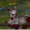 A royal ball for leopon